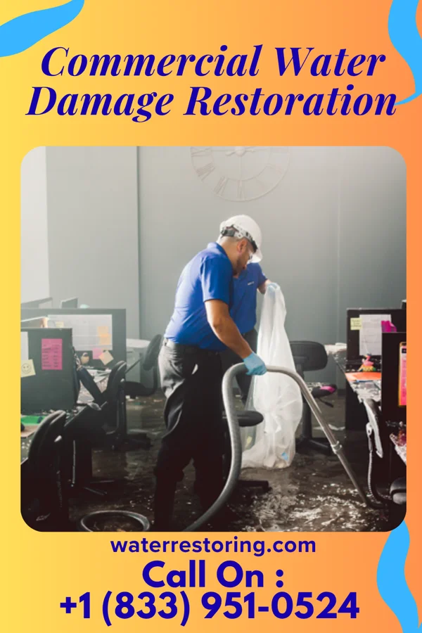 Commercial Water Damage Restoration in La Joya, TX