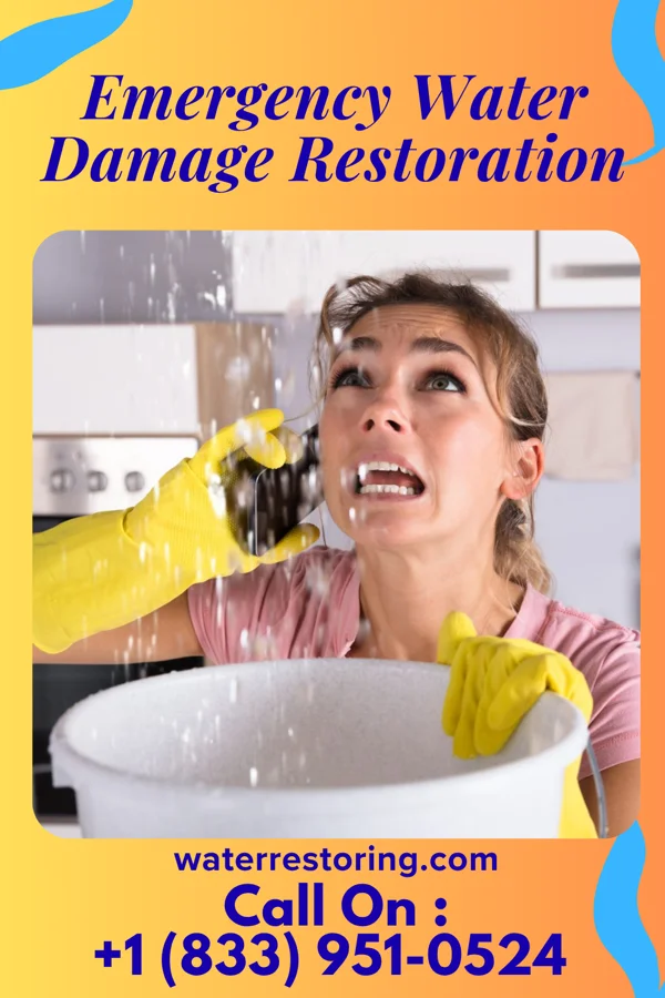 Emergency Water Damage Restoration in La Joya, TX