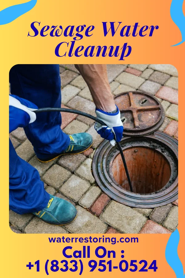 Sewage Water Cleanup in La Joya, TX